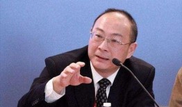 金灿荣最新爆料,揭秘国际风云变幻背后的真相